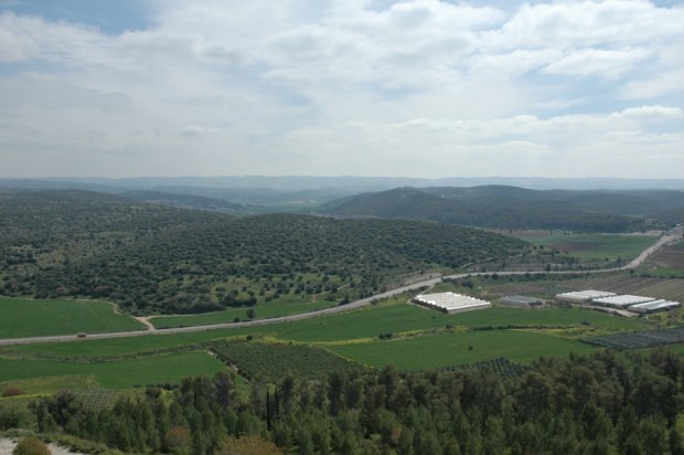 The Elah Valley