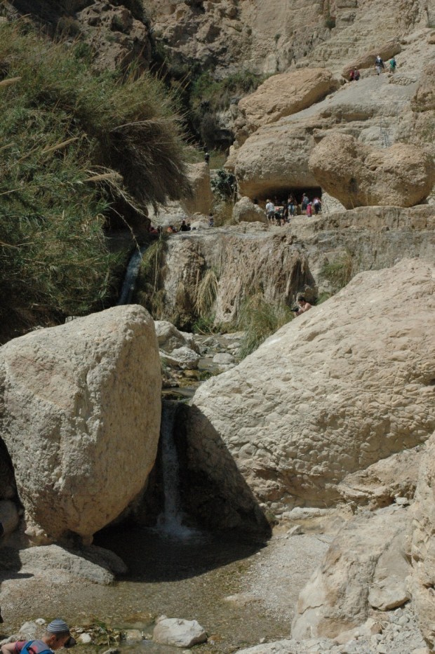 Ein Gedi oasis