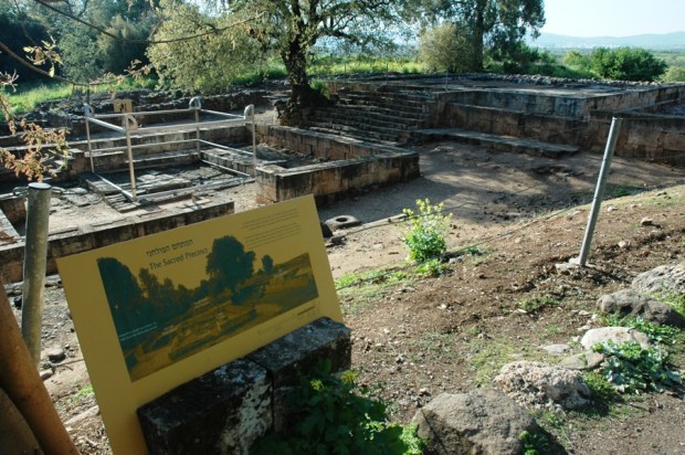 Dan's Sacred Precinct