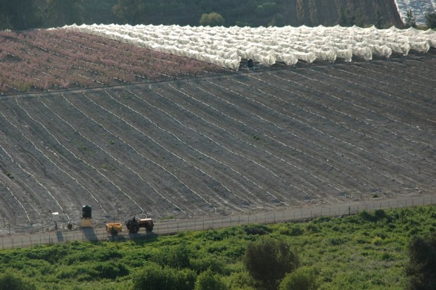 Farmer, tractor, and fields
