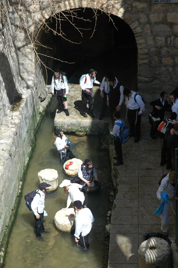 Middle school boys mob