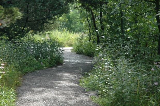 The top of the bluff trail