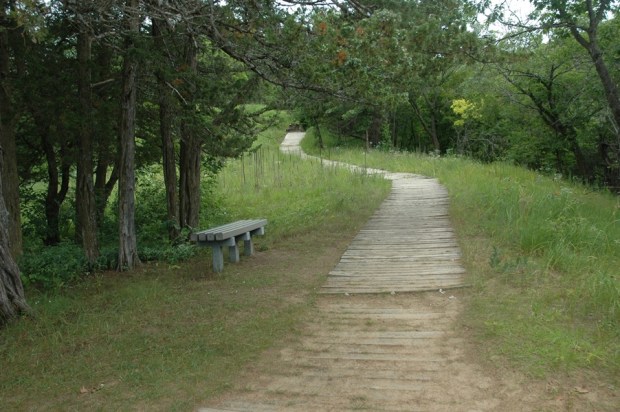 Heading back down the bluff trail. 