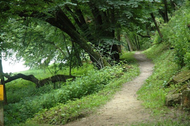 Ferry Bluff trail along Honey Creek & the Wisconsin River