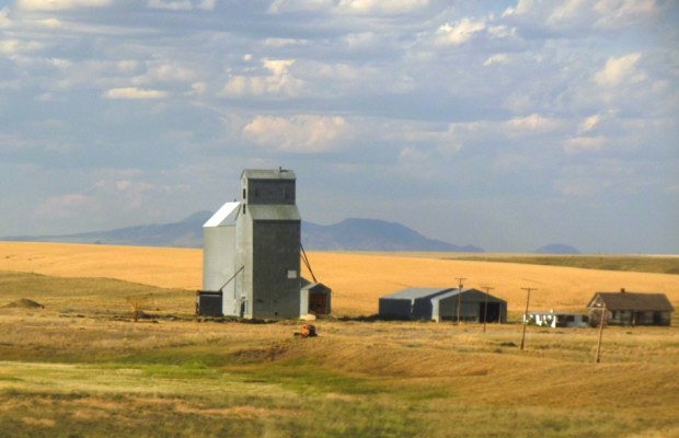 The purple mountains majesty.