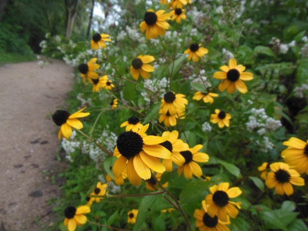 This year the ride included the Pheasant Branch Conservancy