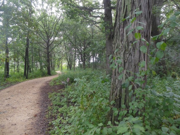 Further down the trail. 