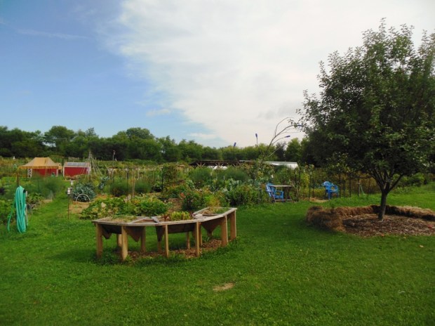 Also stopped to admire the Troy Community Gardens, on Madison's north side. 