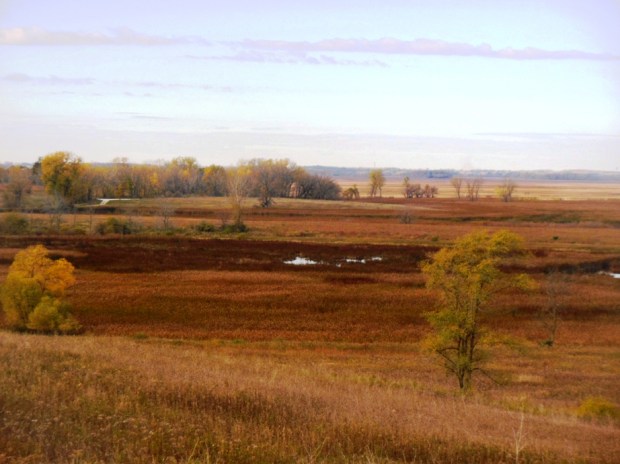Beautiful autumn colors