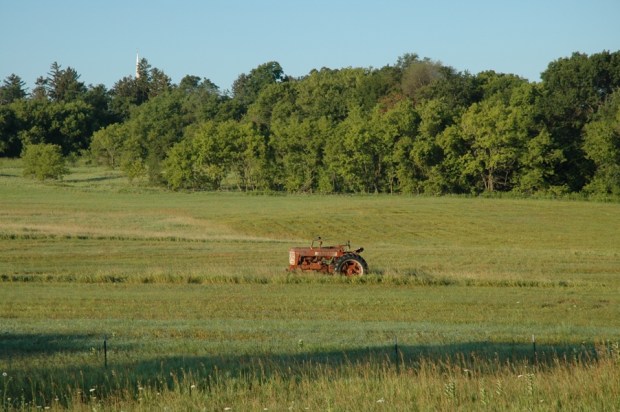 Tractor in the field