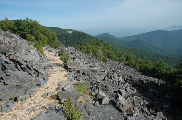 a rocky mountain top. 