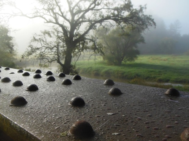 Finally the sun started to break through the fog.