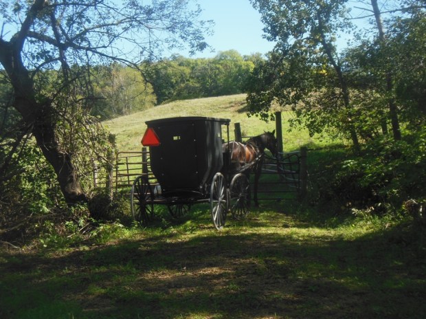 An Amish buggy parked at a gate along the trail.