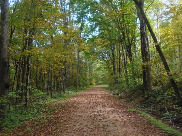 The farm fields eventually gave way to quiet forests.