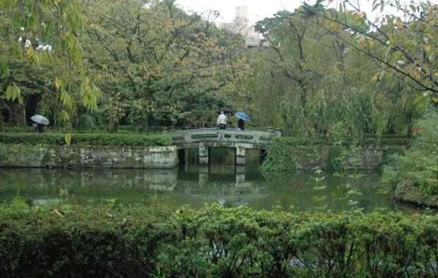 Everyone has an umbrella.