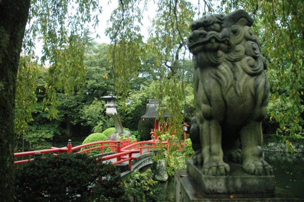 Another part of the park.