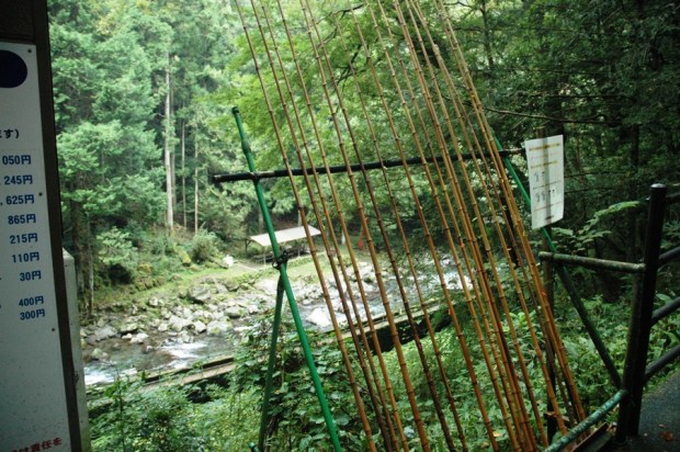 Cane poles for fishing.
