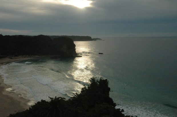 urfers were already catching waves. 