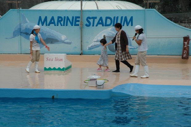 volunteer from the audience