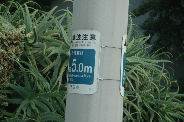 we reluctantly left Shimoda.