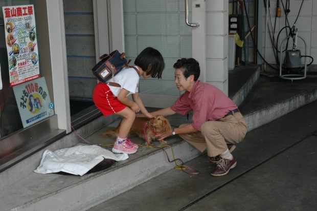 Anna likes to stop to pet Sakara at the gas station on the corner