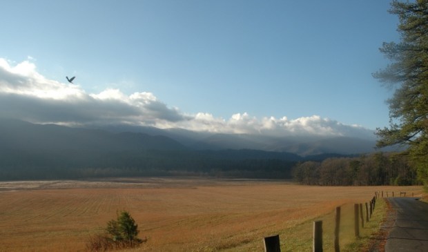 Cade's Cove.
