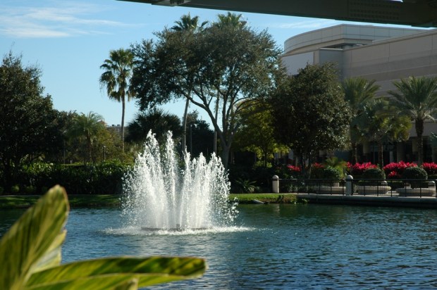 The ground level scenery is also pretty nice