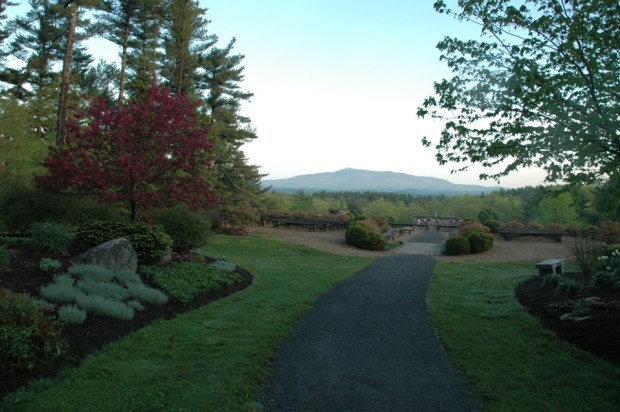 Cathedral of the Pines