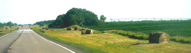 North Dakota farmers mow and bale the roadside ditches. 