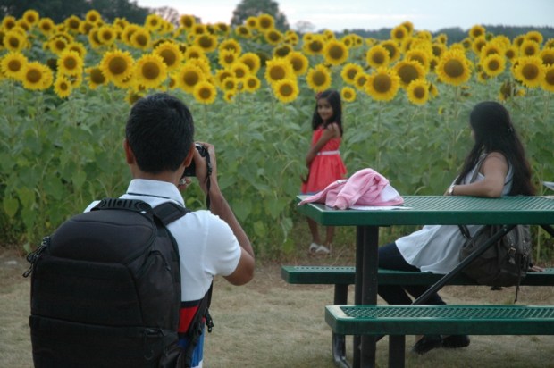 Crowds of people come to have their photos taken in the cheerful explosion of color.