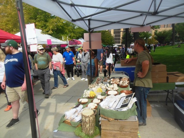 Circled by the Farmers Market on the capitol square to pick up some fresh cheese curds