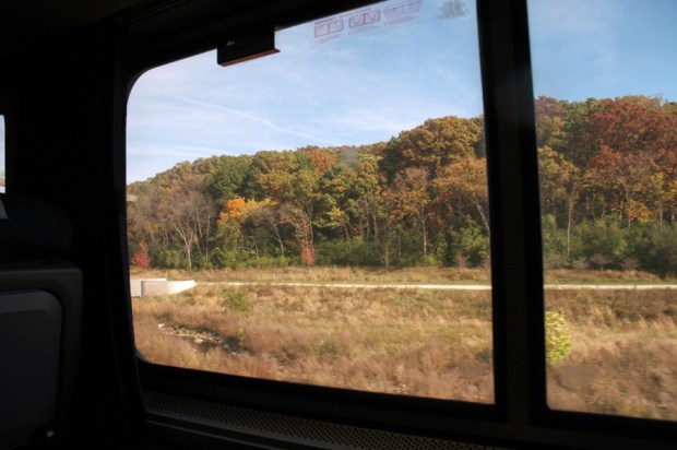 Colorful trees out the window