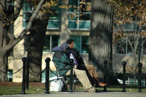 a good day to just sit on a bench and talk with a friend. 