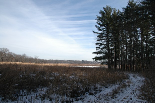 Advancing to the prairie