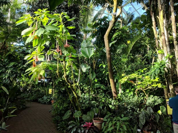 When the temperatures outside are below zero, a walk through the tropical Bolz Conservatory is very refreshing. 
