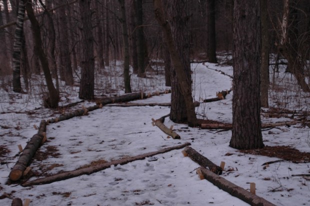 walked down a snowy trail.