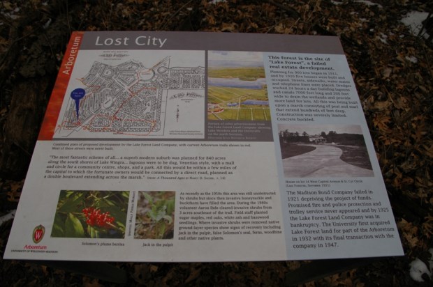 the arboretum's lost city. 