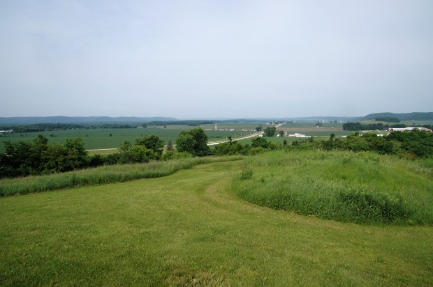 the Shadewald Mound group