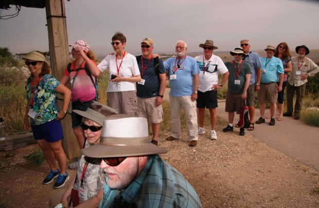 A dozen thirsty camels were lined up, waiting for a drink.