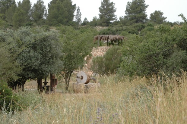 Other aspects of the biblical landscape, an olive press and watchtower.
