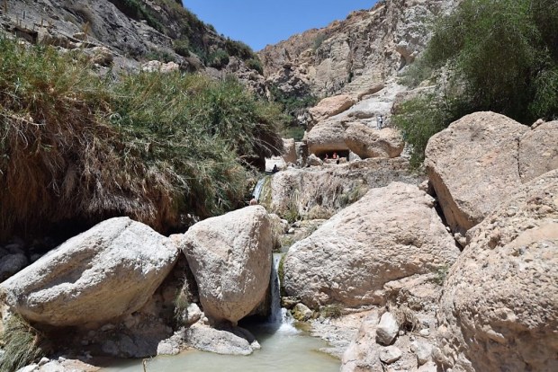 Our group divided at Engedi. Some went to look at the synagogue, others went to see the lush waterfall greenery. 