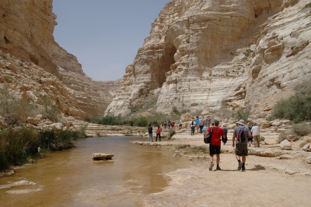 Then we walked into the dramatic landscape of the Desert of Zin.