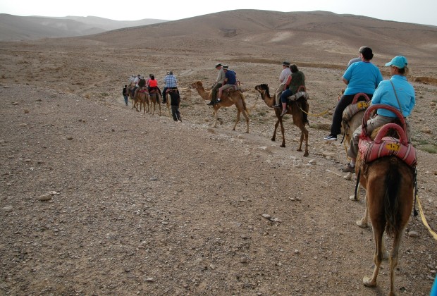 Everyone gets a chance to ride a camel into the desert.