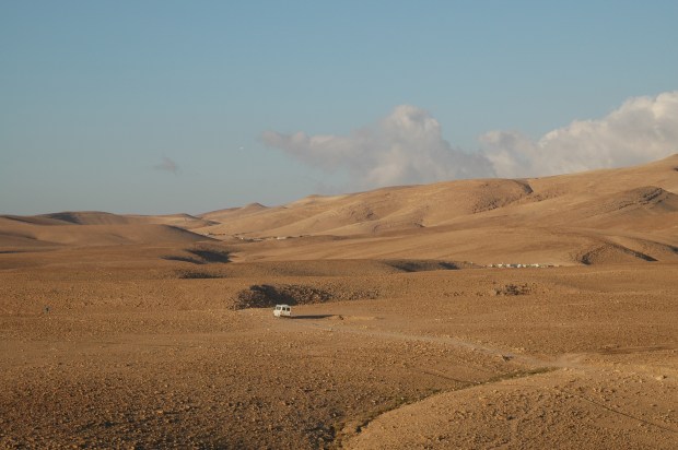 The view from our oasis as a new day dawns