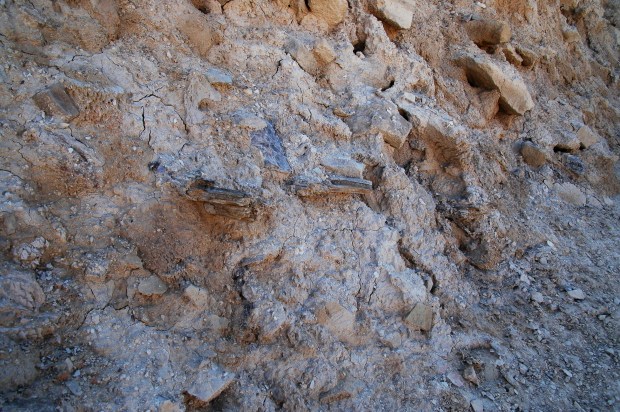 Recent rains had uncovered some of the wood foundation of the siege ramp.