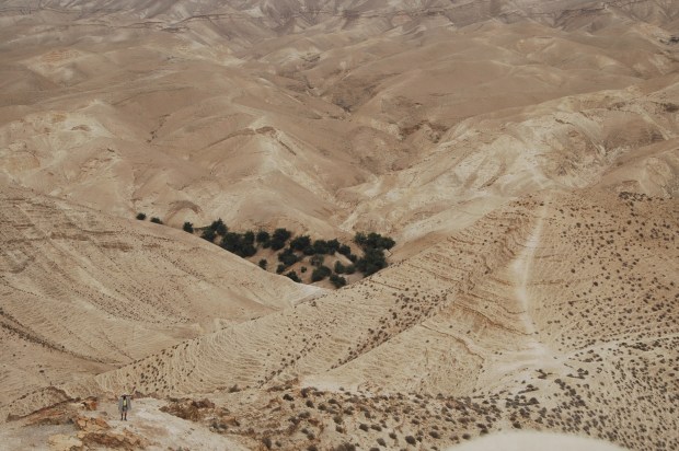 The wilderness of Judea,