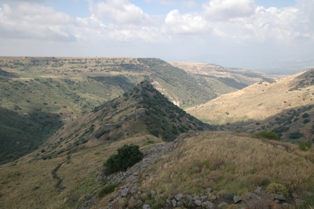 Soon we were at Gamla