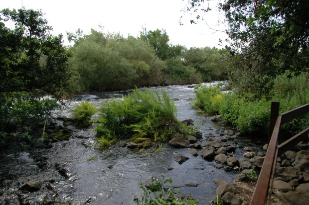 Another source of the Jordan River nearby at the Tel Dan