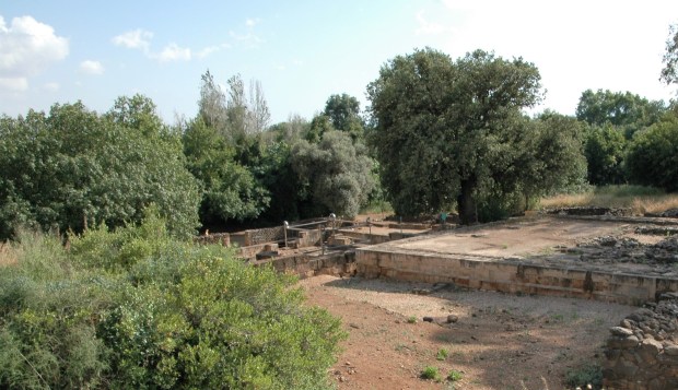 The cultic high place at Dan