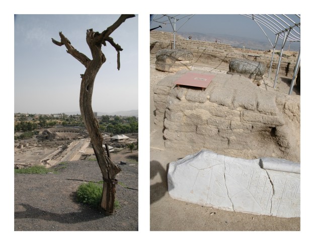 On top of the tel at Bethshean.